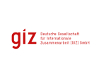 Giz Logo