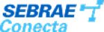 Sebrae Conecta vertical positiva@2x 1